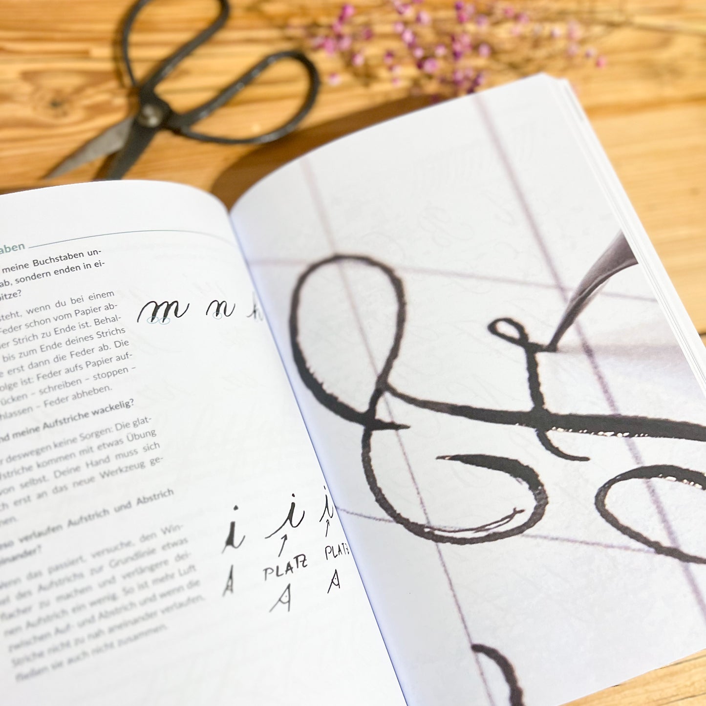Handlettering und moderne Kalligrafie - Natascha Safarik